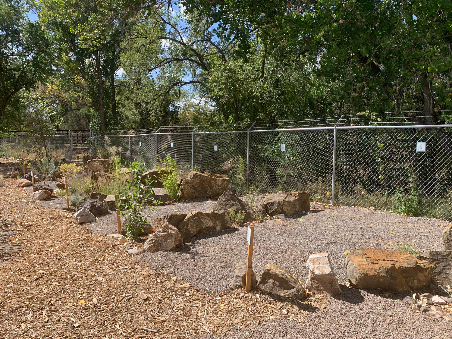 Lower Campsites