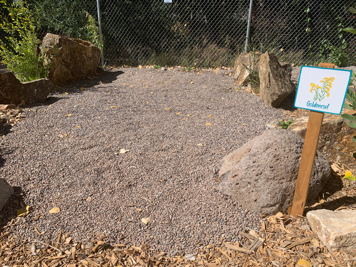 Goldenrod Campsite