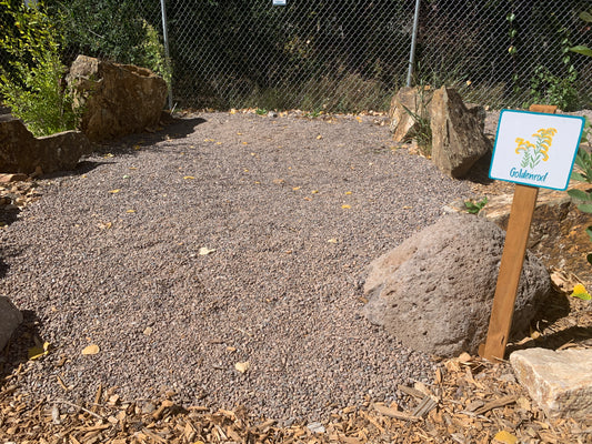 Goldenrod Campsite