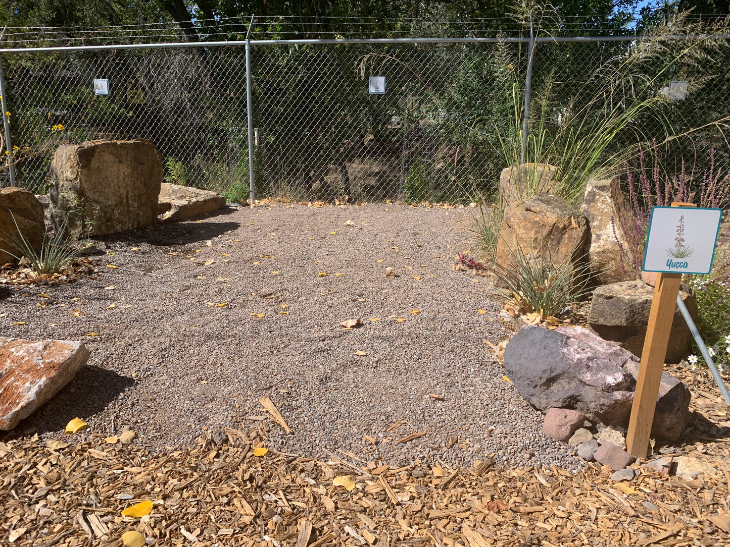 Yucca Campsite
