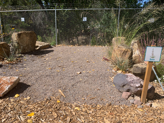 Yucca Campsite